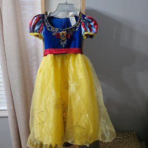 Disney princess dress